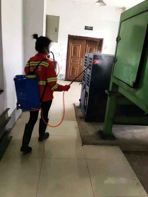 蔡甸城管环卫中心倾全力做好环境卫生，街净巷洁迎新春